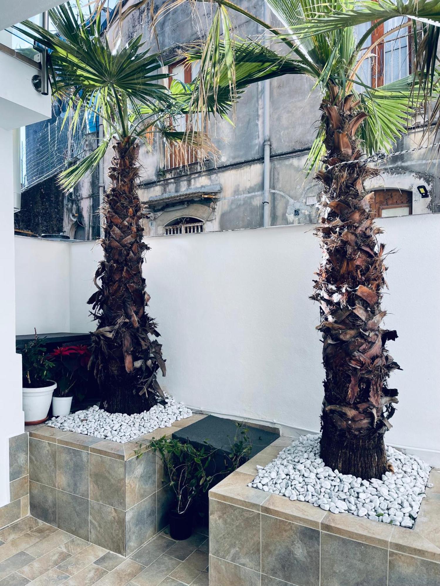 King House Catania Hostel Ostello Exteriör bild
